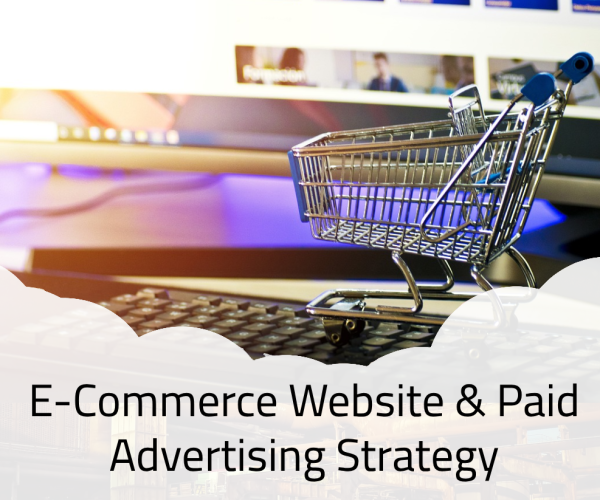 laying-hens-4133960_1280 (4)