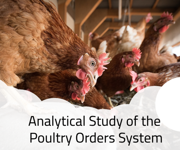 laying-hens-4133960_1280